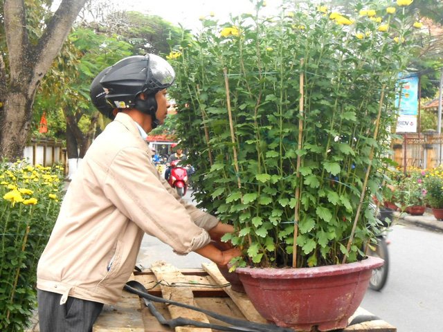 Những nghề 