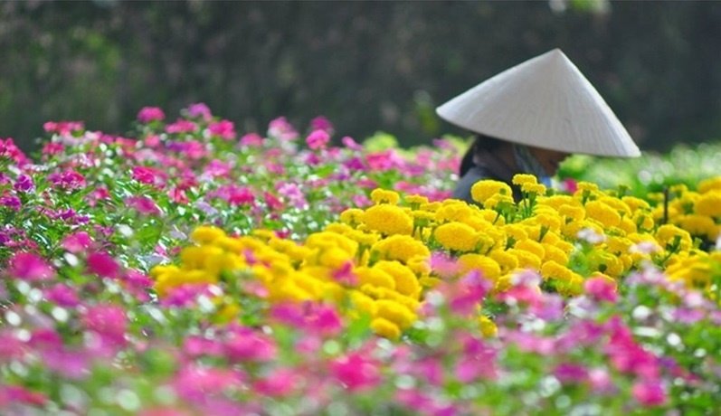 chuyen-nhung-nguoi-phu-nu-ban-hoa-som-tinh-suong-xu-quang
