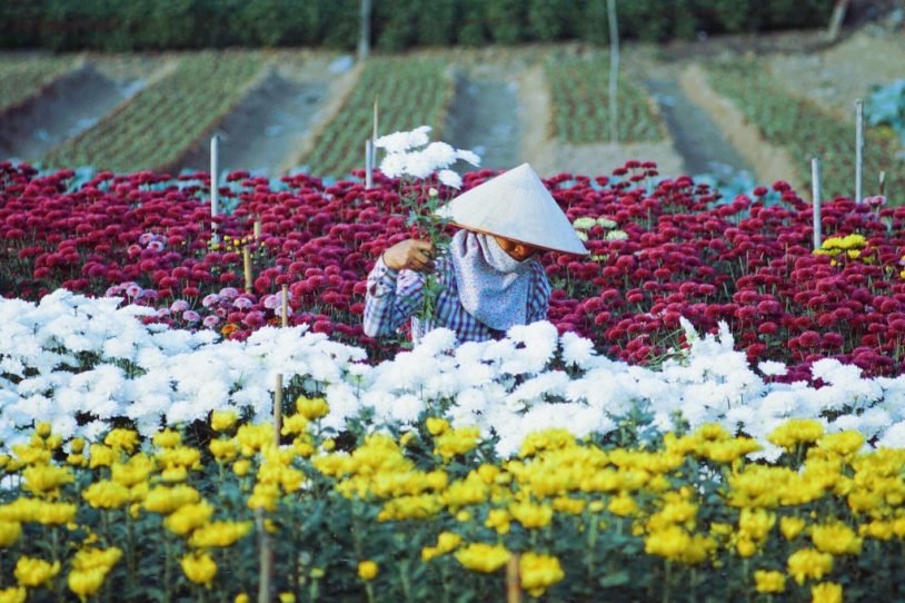 chuyen-nhung-nguoi-phu-nu-ban-hoa-som-tinh-suong-xu-quang