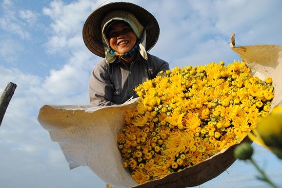 chuyen-nhung-nguoi-phu-nu-ban-hoa-som-tinh-suong-xu-quang