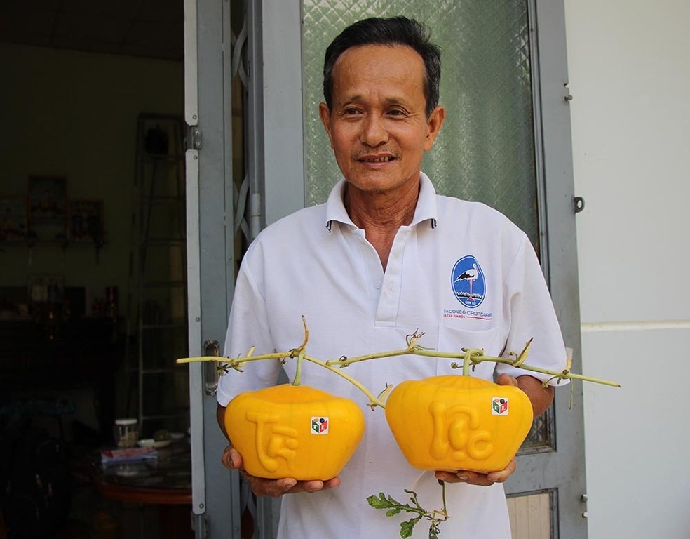 dua-hau-thoi-vang-chung-tet_2.jpg