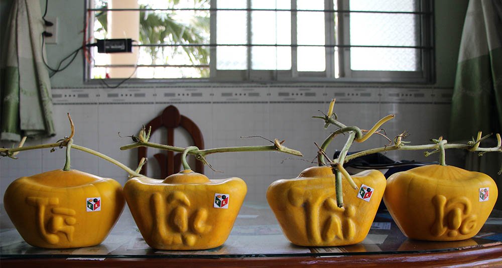 dua-hau-thoi-vang-chung-tet_5.jpg