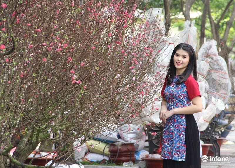 Ngắm hoa đào phương Bắc khoe sắc ở phương Nam