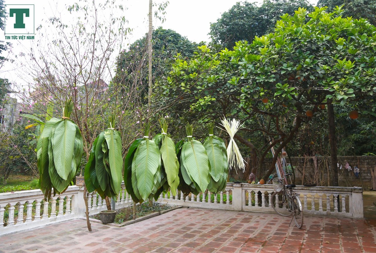 banh-chung