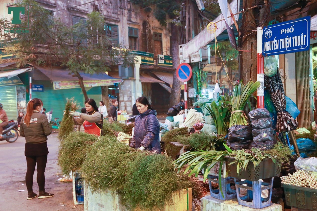 nguoi-dan-lung-cay-mui-gia-ve-tam-truoc-tet-nguoi-ban-thu-vai-trieu-moi-ngay-de-nhu-choi