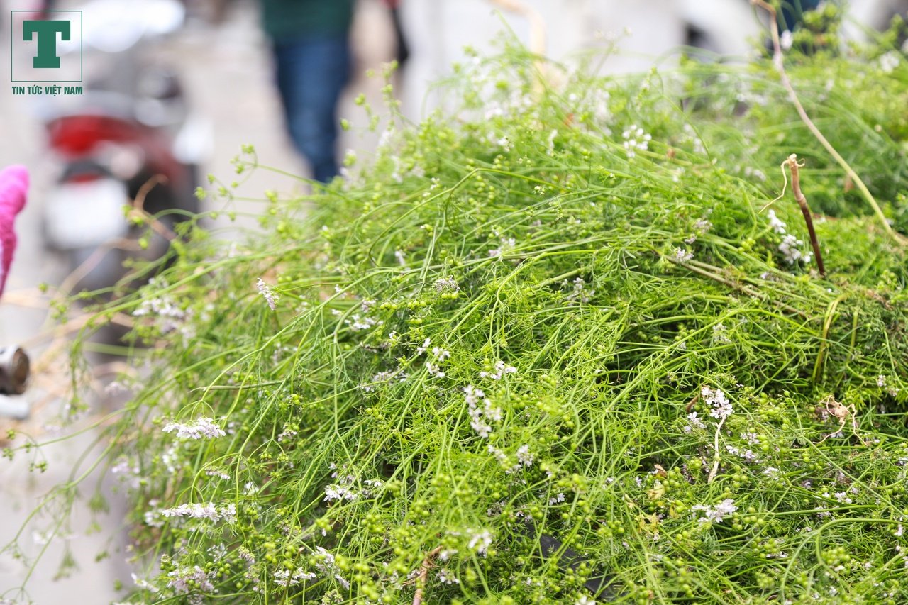 rau-mui