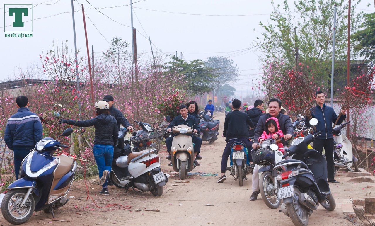 cho-hoa-ngay-tet