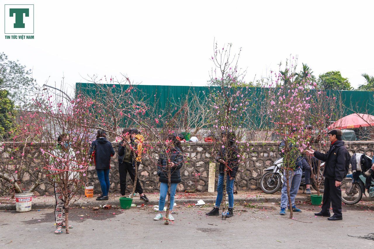 cho-hoa-ngay-tet