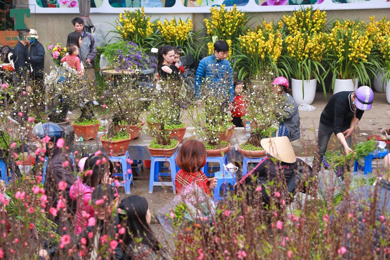 cho-hoa-ngay-tet