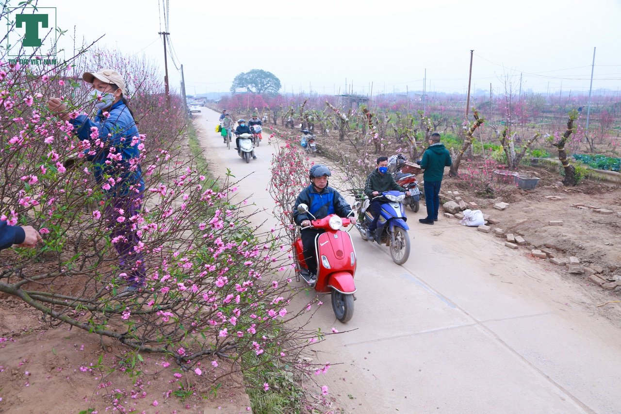 cho-hoa-ngay-tet