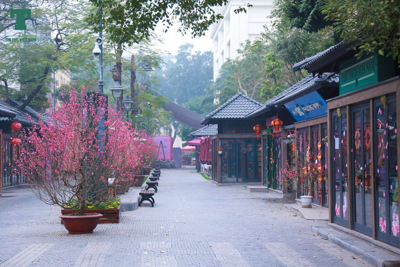 ha-noi-trang-tri-don-tet