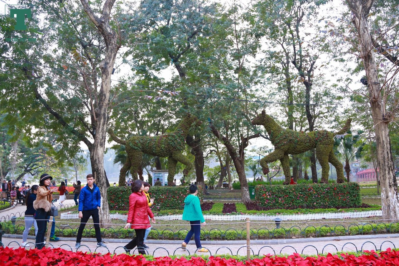 ha-noi-trang-tri-don-tet