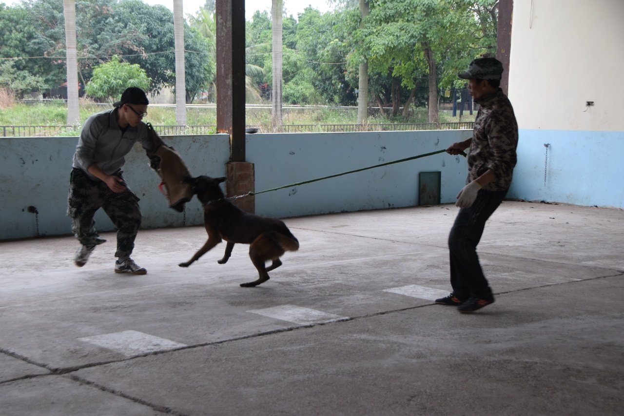 vui-buon-nghe-huan-luyen-cho