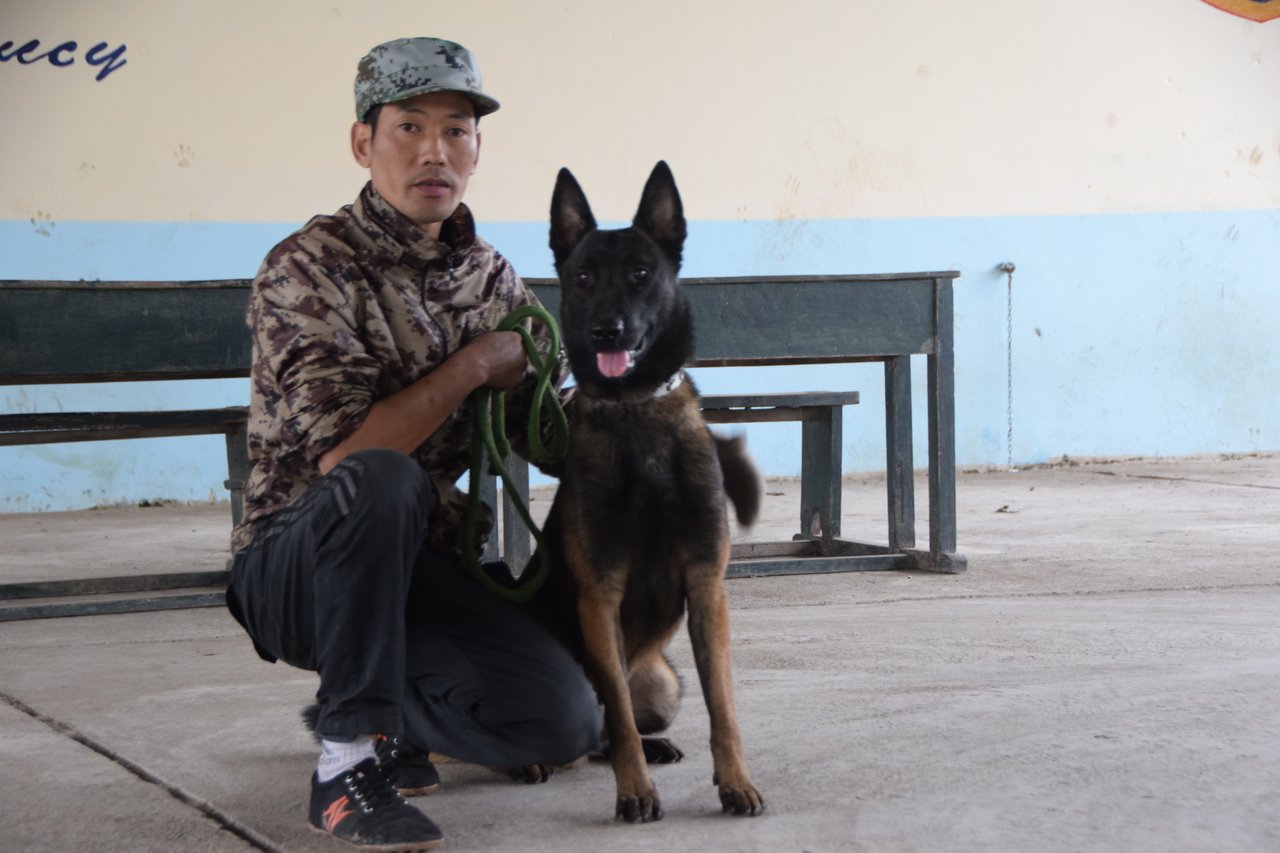 vui-buon-nghe-huan-luyen-cho