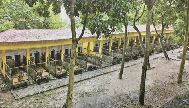 Chuyện cảm động về những chú chó nghiệp vụ