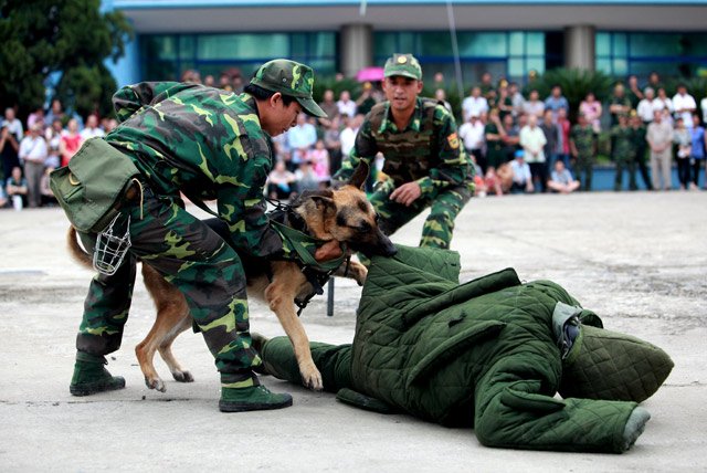 he-lo-nhung-bi-an-ve-doi-khuyen-binh-than-ky-trong-su-viet