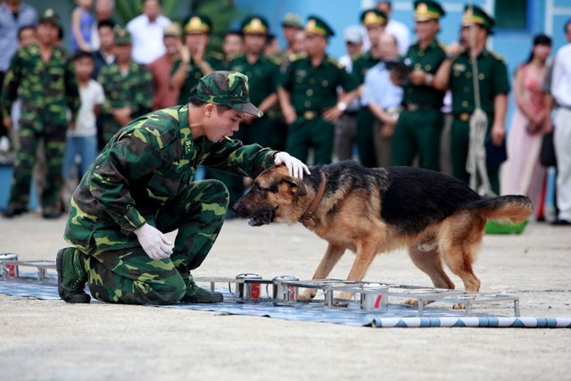 he-lo-nhung-bi-an-ve-doi-khuyen-binh-than-ky-trong-su-viet
