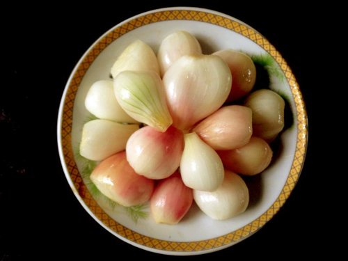 cach-lam-mam-co-cung-hoa-vang-khi-het-tet-nguyen-dan