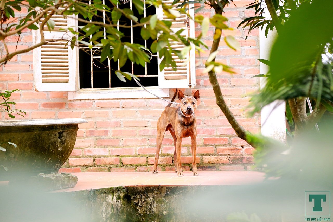 cho-phu-quoc