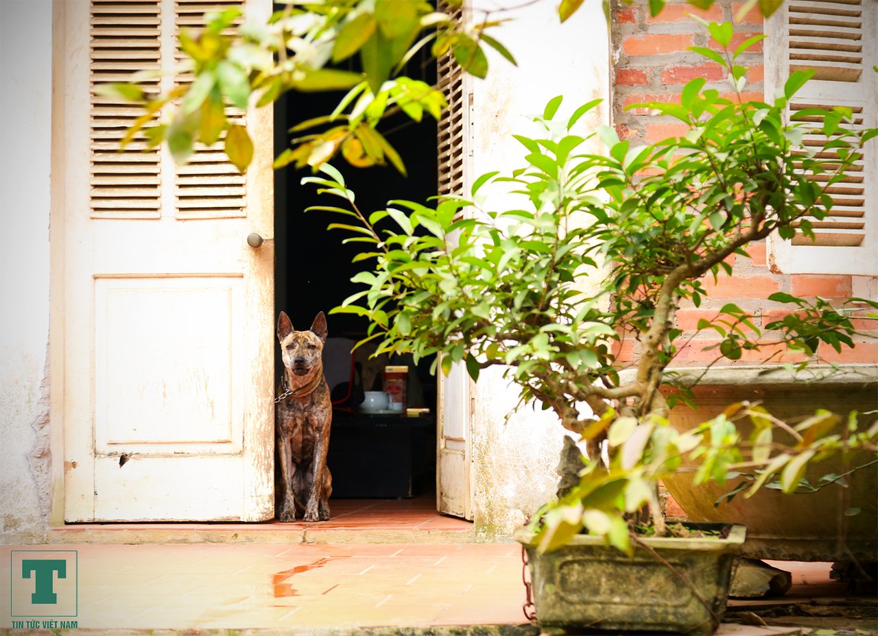 cho-phu-quoc