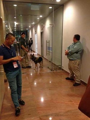 Bí mật loài chó nghiệp vụ cực kì tinh nhuệ của mật vụ Mỹ