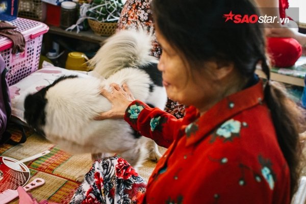 Tết không sắc của 134 cụ già trong viện dưỡng lão 