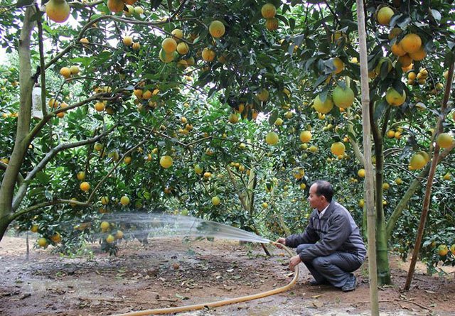 Chia nhau 3.000 tỷ đồng: Cả làng xây nhà lầu, sắm ô tô