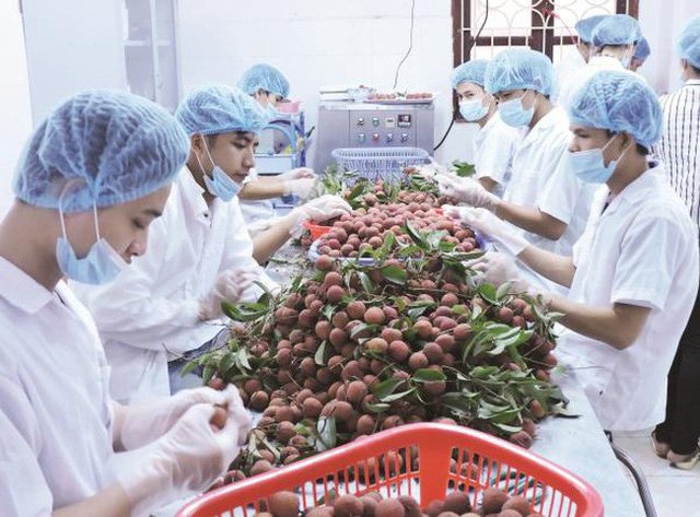 Chia nhau 3.000 tỷ đồng: Cả làng xây nhà lầu, sắm ô tô