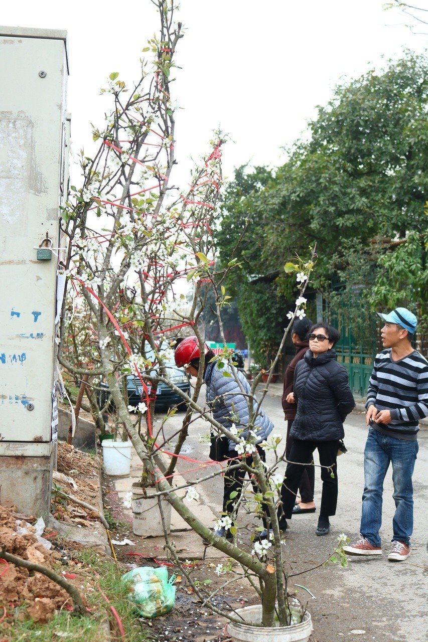 sau-tet-nguoi-ha-noi-lai-vui-voi-thu-choi-hoa-le