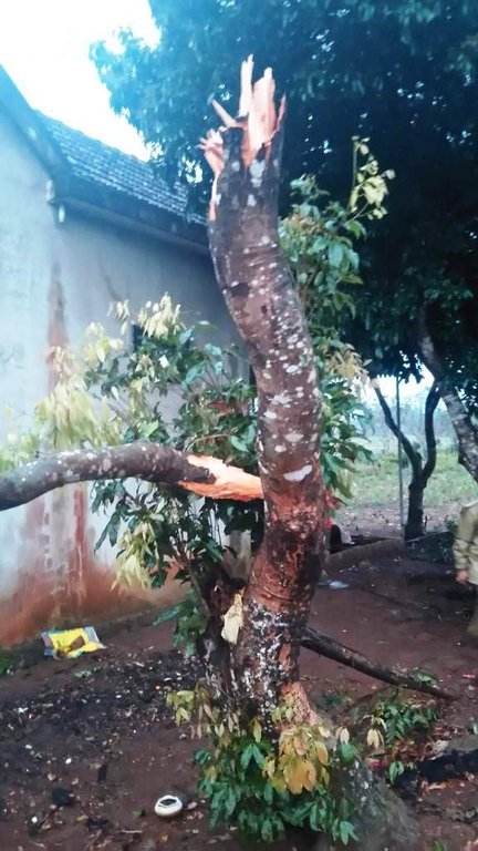Mưa đá, giông lốc xuất hiện bất ngờ tàn phá nhiều tài sản