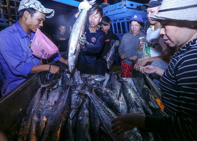 Ngư dân trúng 10 tấn cá sau chuyến đi xuyên Tết
