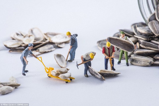 Chiêm ngưỡng vẻ đẹp thế giới qua những lát cắt 
