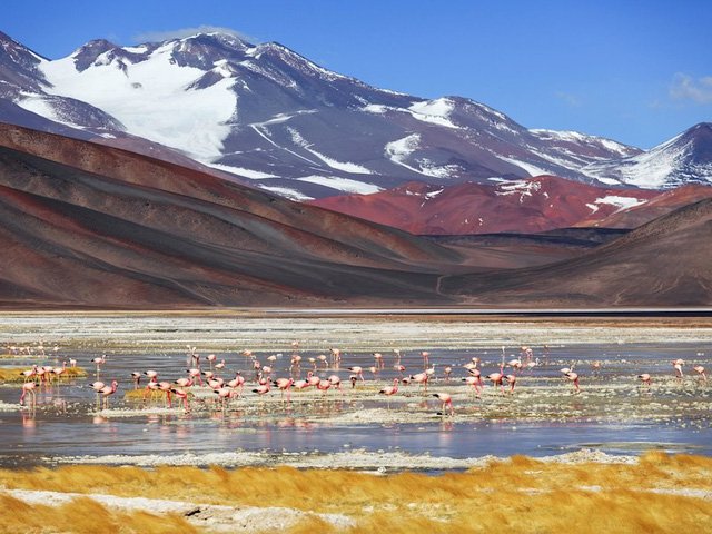 12 bức ảnh quyến rũ bạn đến Argentina