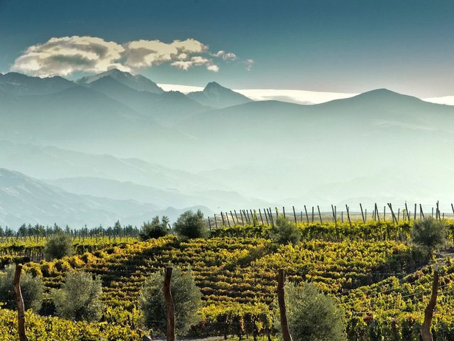 12 bức ảnh quyến rũ bạn đến Argentina