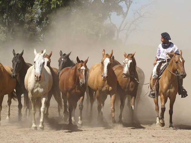 12 bức ảnh quyến rũ bạn đến Argentina
