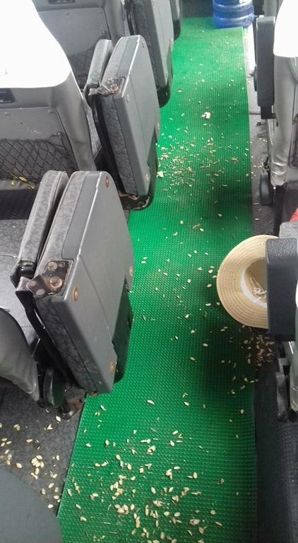 Dân mạng tố muôn kiểu vô ý thức của người Việt