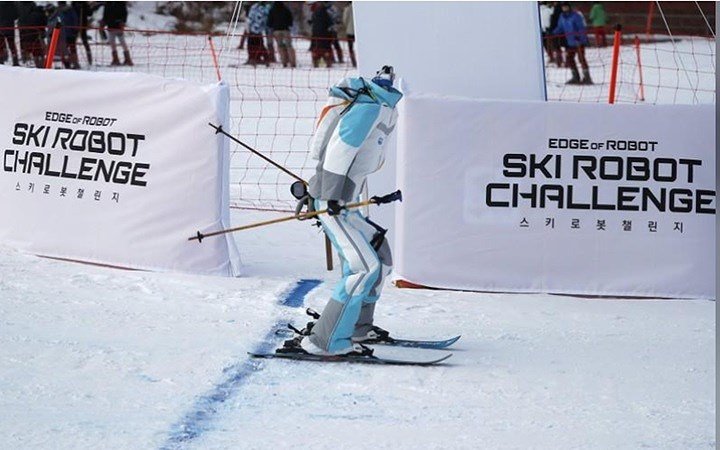 Ảnh: Các VĐV robot 