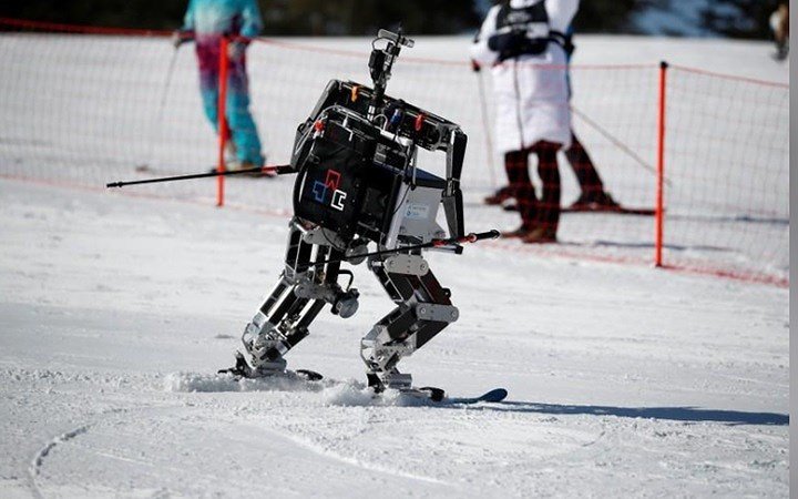Ảnh: Các VĐV robot 