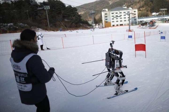 Ảnh: Các VĐV robot 