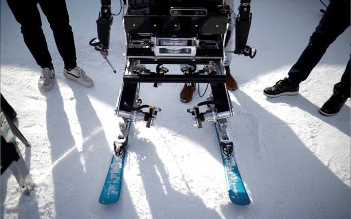 Ảnh: Các VĐV robot 