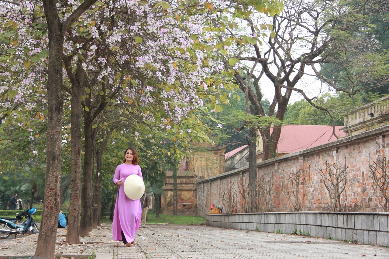 hoa-ban-ruc-sac-giua-long-ha-noi
