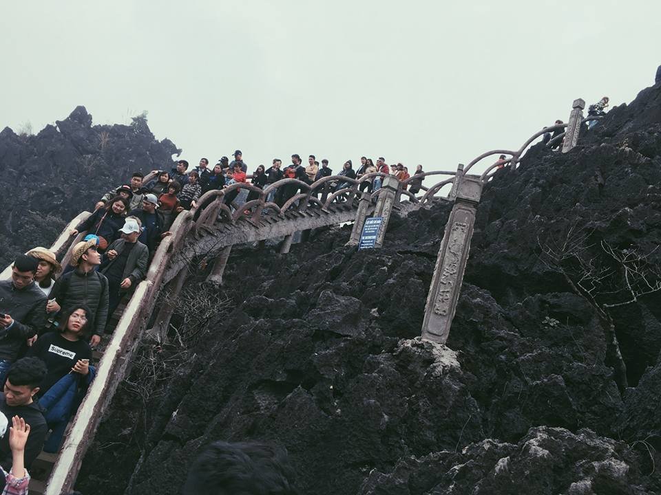 trang-an-co-diem-den-cuc-hot-tai-ninh-binh-nhung-ngay-dau-xuan