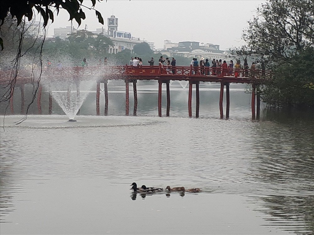 bat-ngo-xuat-hien-dan-vit-troi-tai-ho-guom