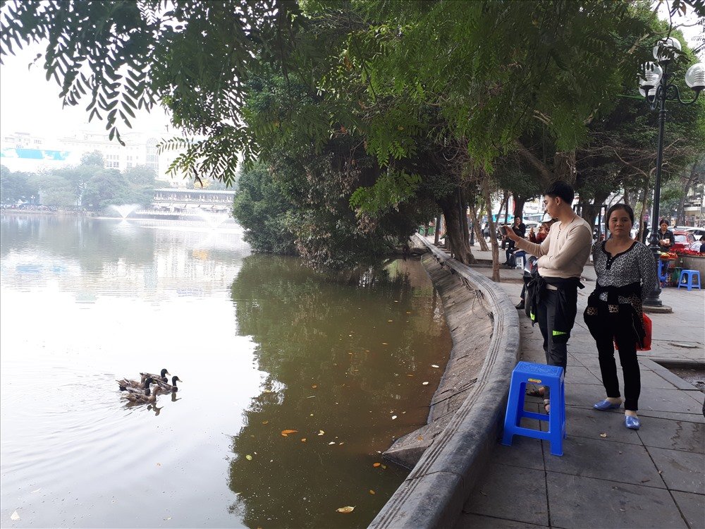 bat-ngo-xuat-hien-dan-vit-troi-tai-ho-guom
