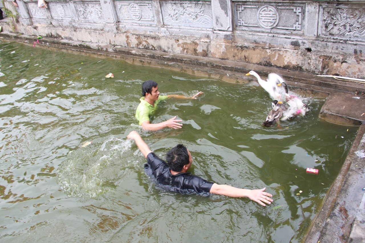 dan-lang-van-phuc-tro-tai-bat-vit-duoi-ho-trong-le-hoi-xuan-dau-nam-moi