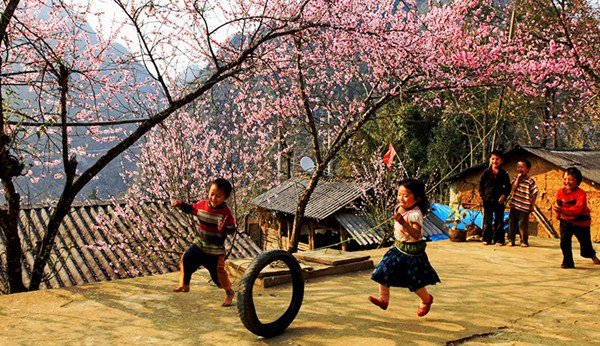 @baohagiang