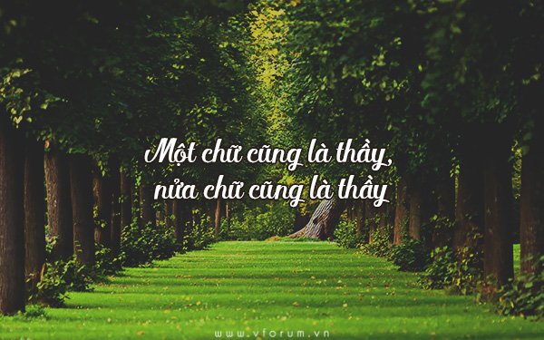 nhung-cau-danh-ngon-hay-nhat-ve-giao-duc