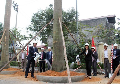 Phản cảm hình ảnh trồng cây cổ thụ đầu xuân