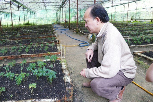 Làm kinh tế theo lời Phật dạy