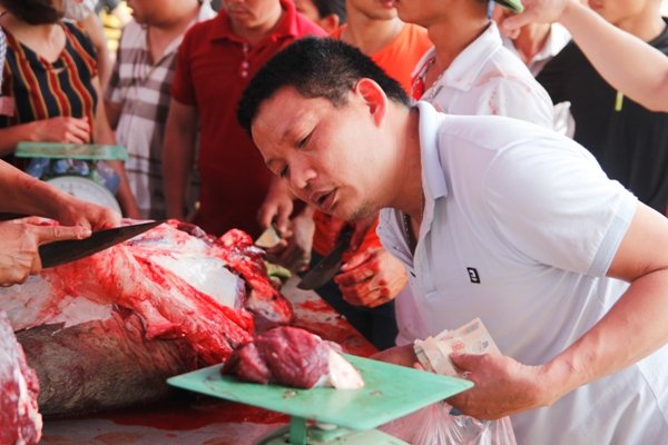 vinh-phuc-thit-trau-choi-thang-ban-gia-3-trieu-dongkg-van-dat-nhu-tom-tuoi